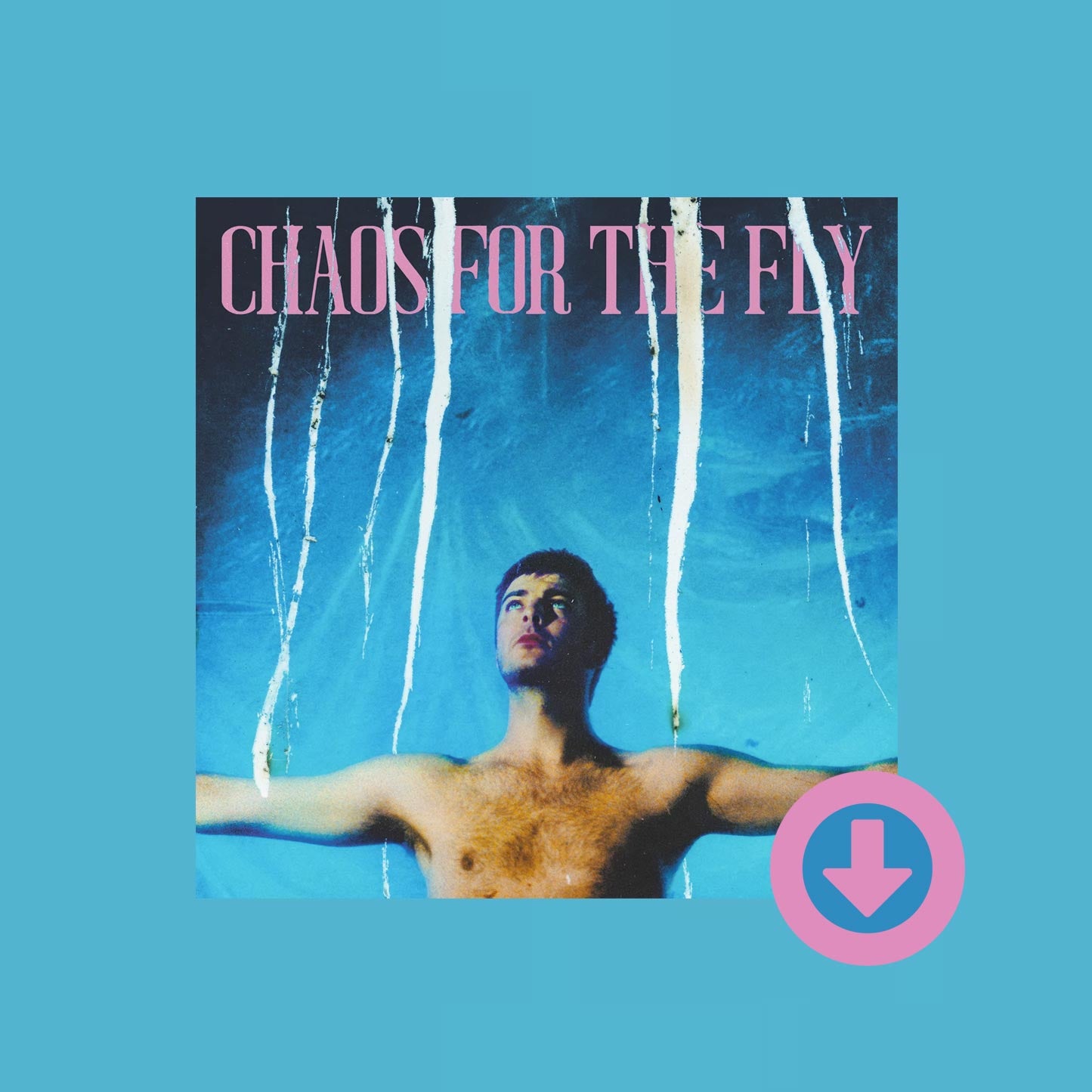 Chaos For The Fly Digital Download