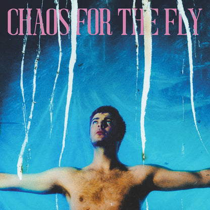 Chaos For The Fly Digital Download